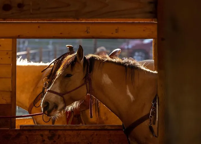 Lodge Heart Six Ranch *